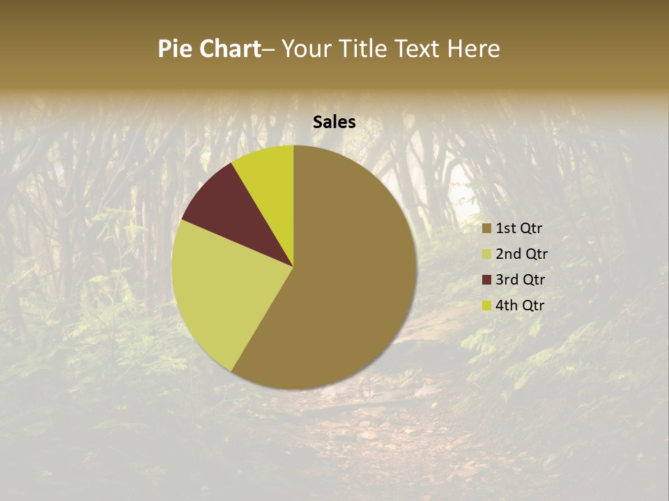 A Path Through A Forest With Lots Of Trees PowerPoint Template