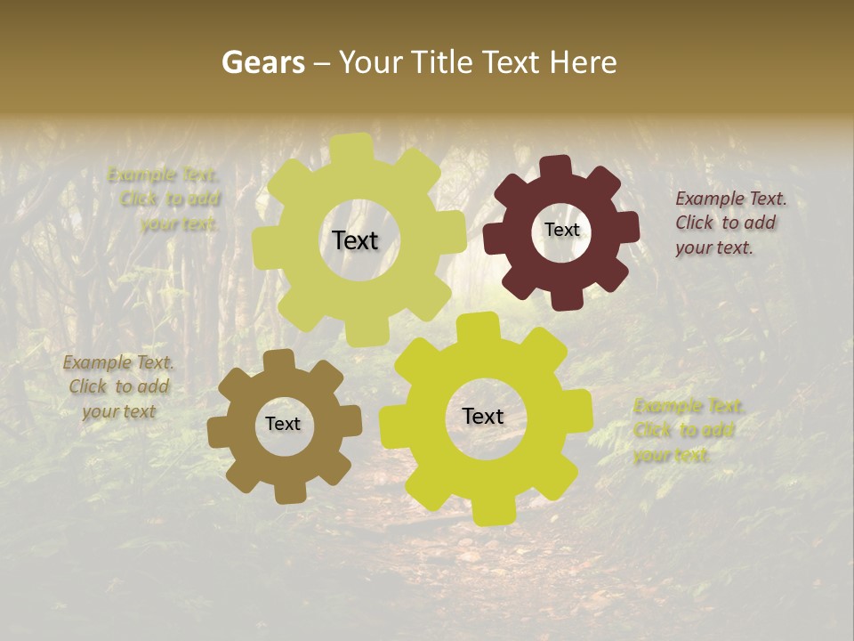 A Path Through A Forest With Lots Of Trees PowerPoint Template