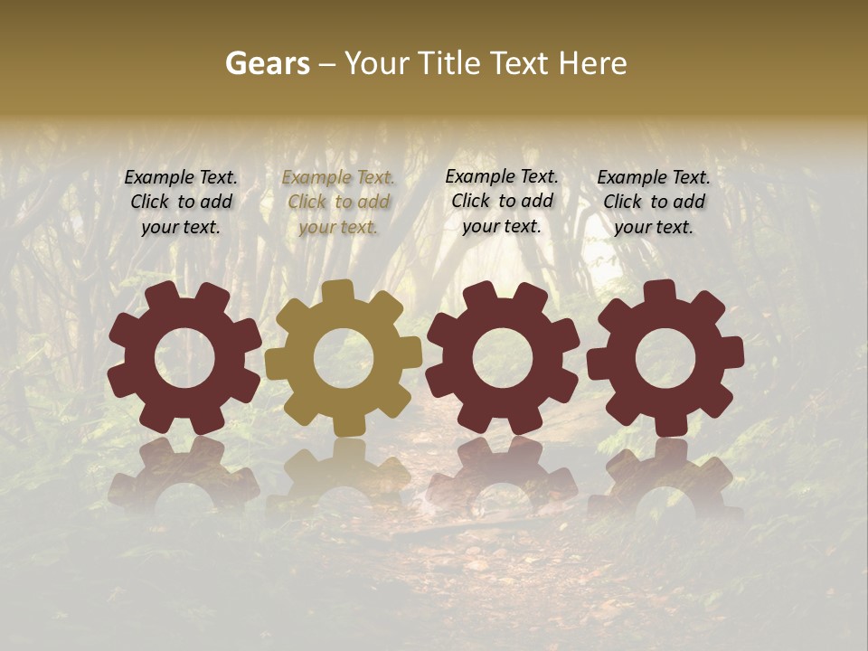 A Path Through A Forest With Lots Of Trees PowerPoint Template