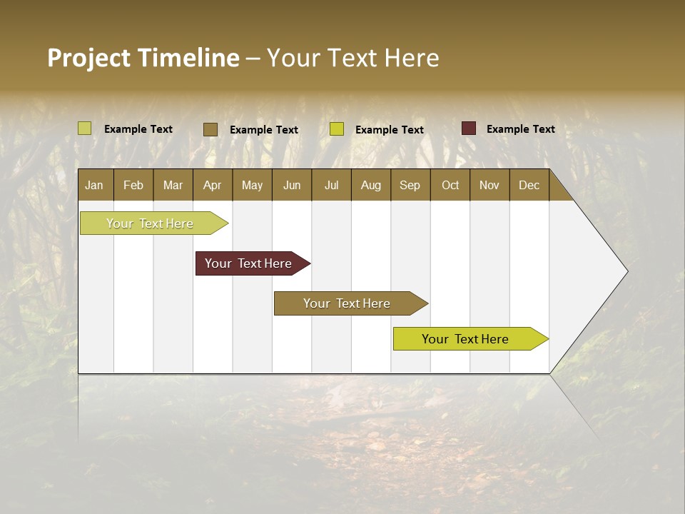 A Path Through A Forest With Lots Of Trees PowerPoint Template