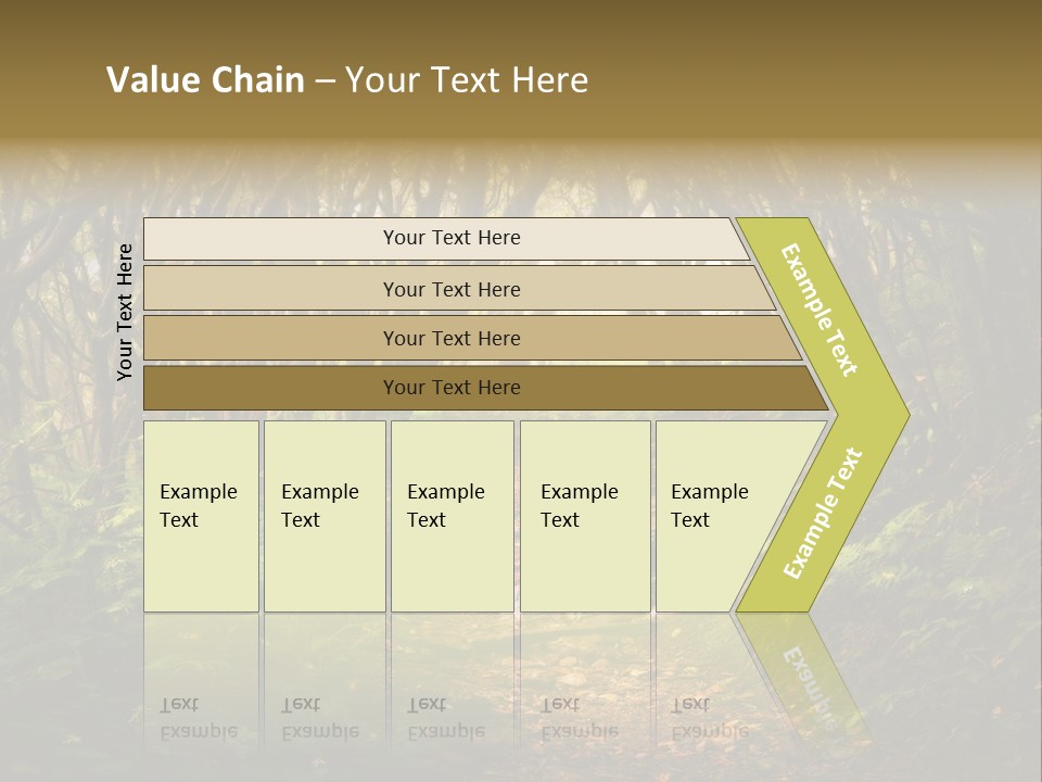 A Path Through A Forest With Lots Of Trees PowerPoint Template
