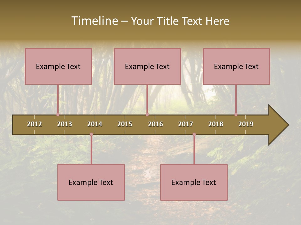 A Path Through A Forest With Lots Of Trees PowerPoint Template