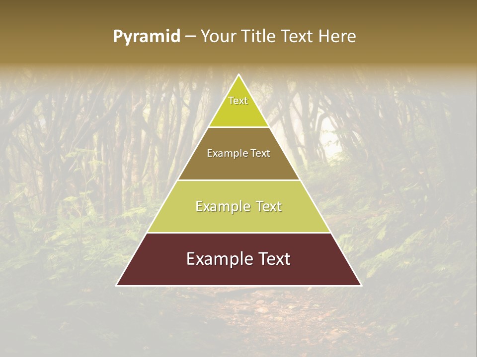 A Path Through A Forest With Lots Of Trees PowerPoint Template