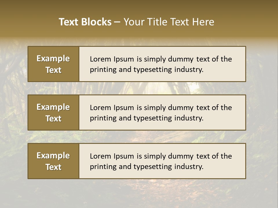 A Path Through A Forest With Lots Of Trees PowerPoint Template