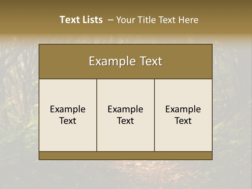 A Path Through A Forest With Lots Of Trees PowerPoint Template