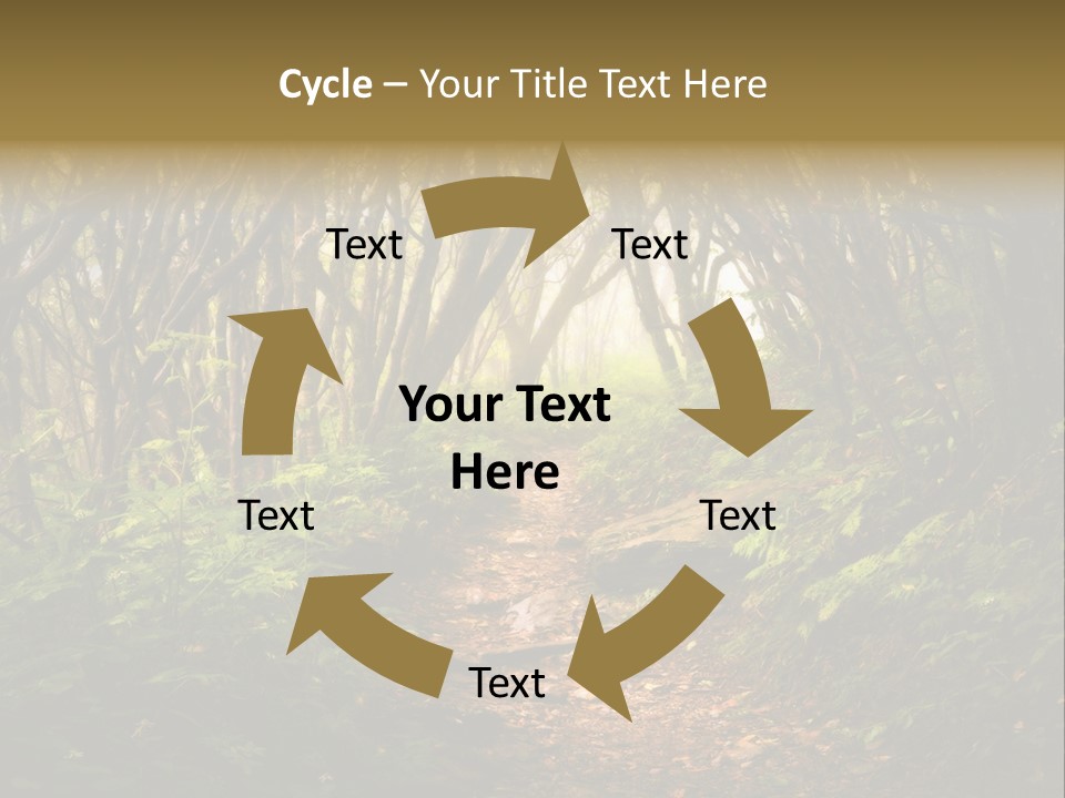 A Path Through A Forest With Lots Of Trees PowerPoint Template