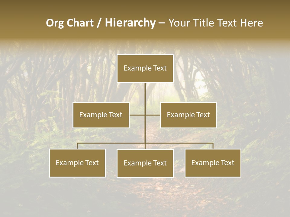 A Path Through A Forest With Lots Of Trees PowerPoint Template