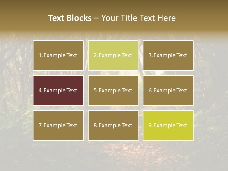 A Path Through A Forest With Lots Of Trees PowerPoint Template