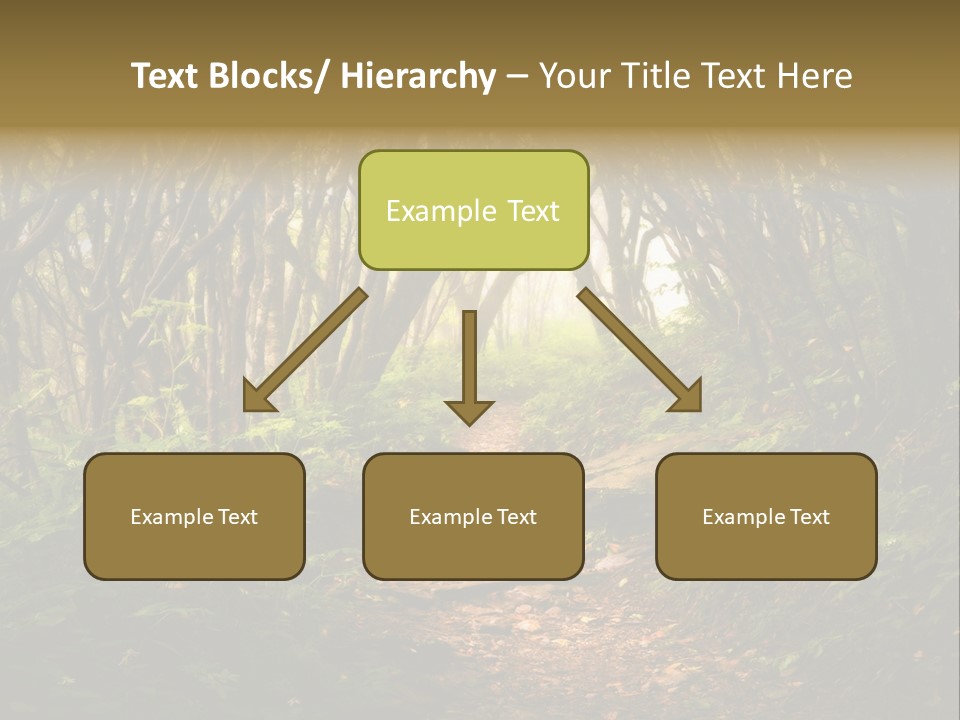 A Path Through A Forest With Lots Of Trees PowerPoint Template