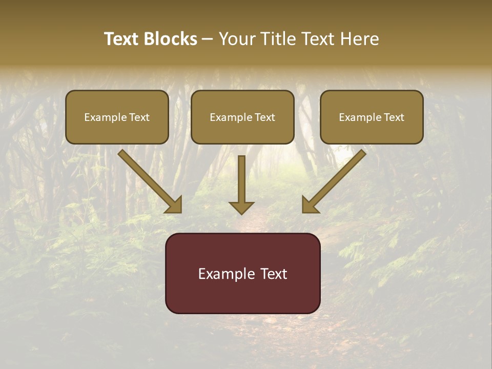 A Path Through A Forest With Lots Of Trees PowerPoint Template