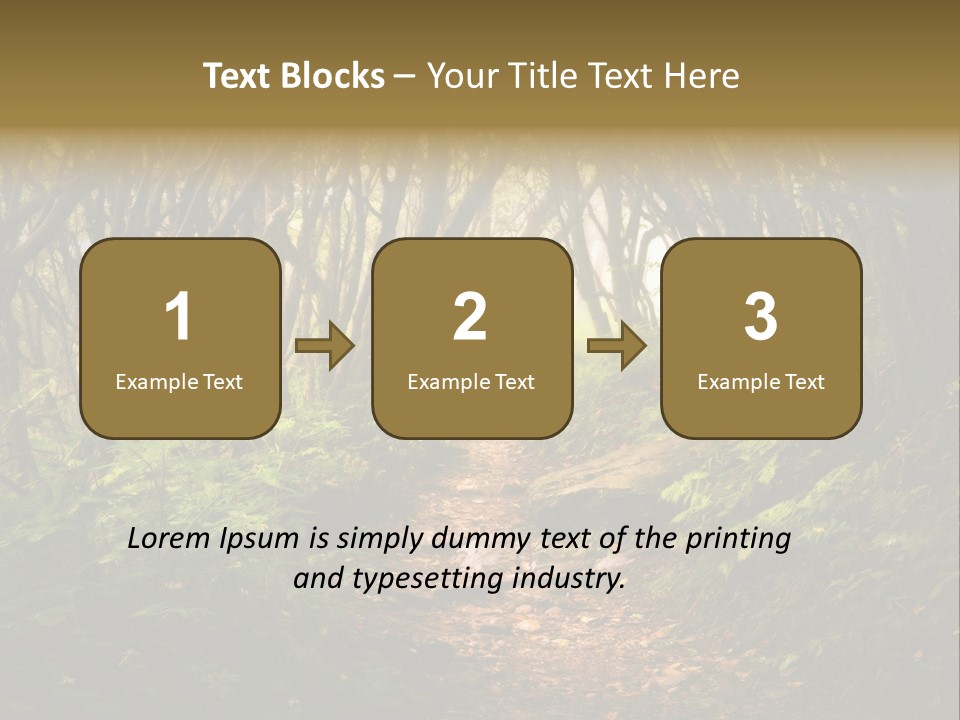 A Path Through A Forest With Lots Of Trees PowerPoint Template