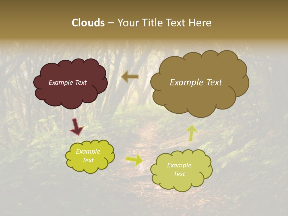 A Path Through A Forest With Lots Of Trees PowerPoint Template