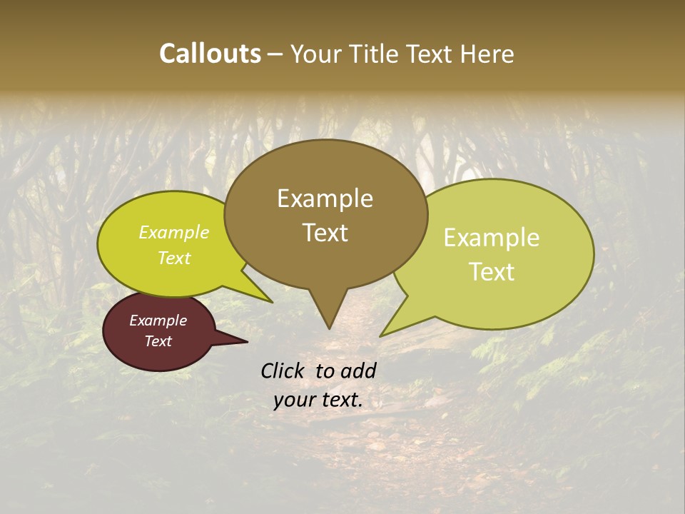 A Path Through A Forest With Lots Of Trees PowerPoint Template