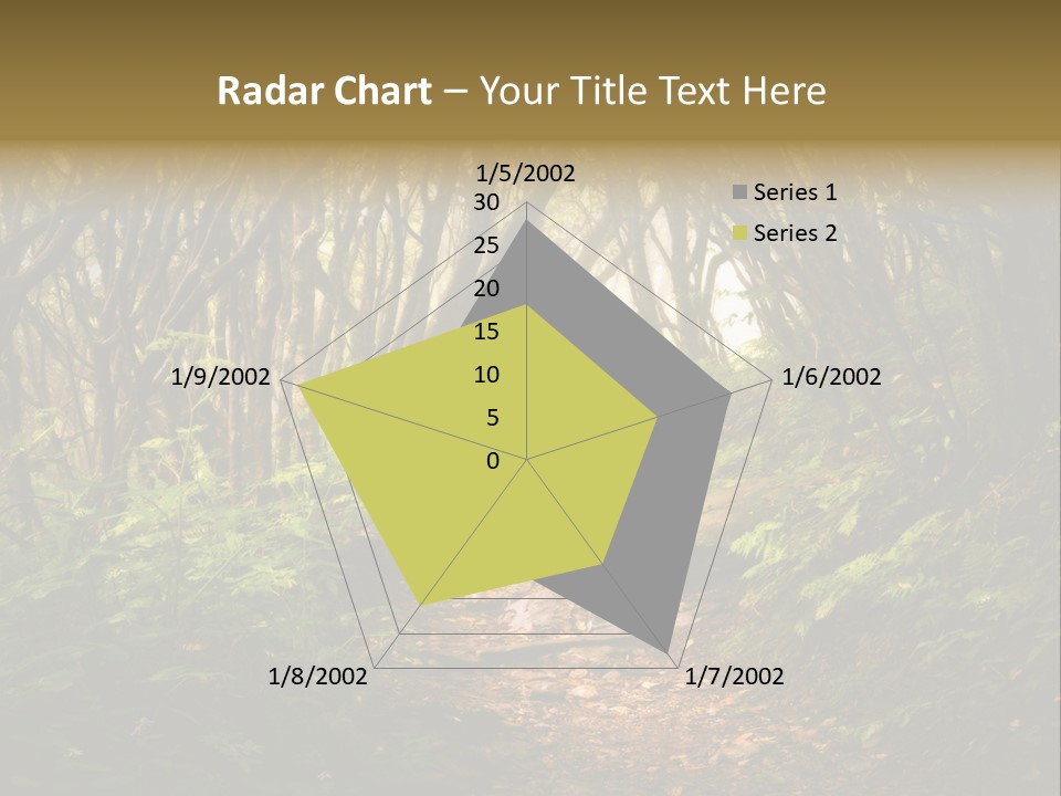 A Path Through A Forest With Lots Of Trees PowerPoint Template