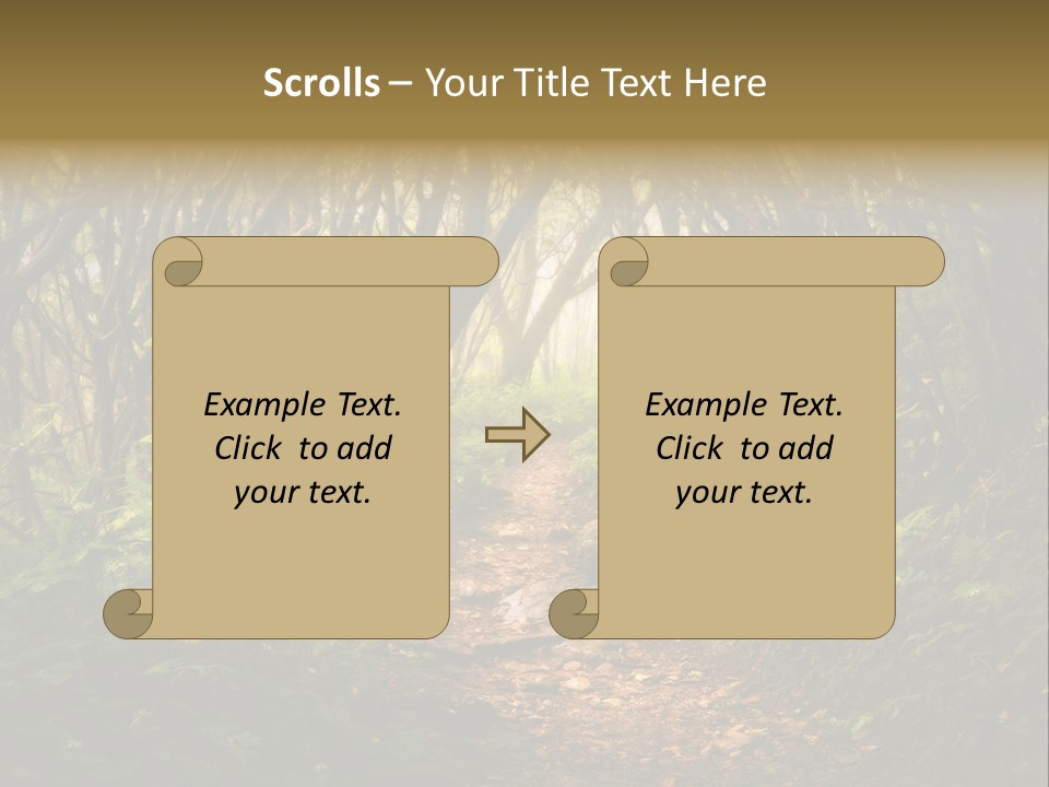 A Path Through A Forest With Lots Of Trees PowerPoint Template