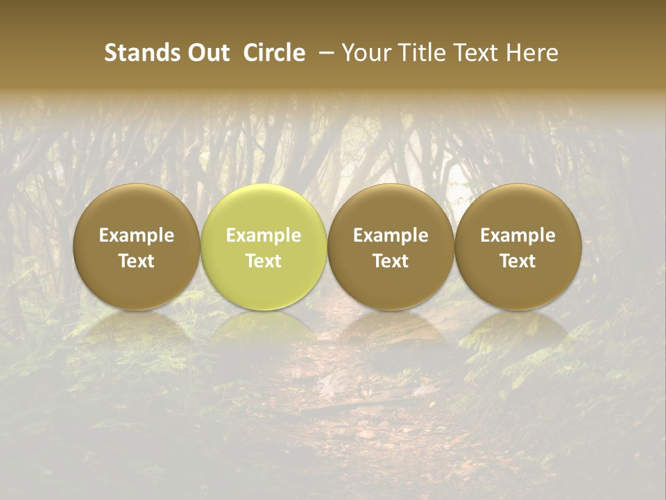 A Path Through A Forest With Lots Of Trees PowerPoint Template