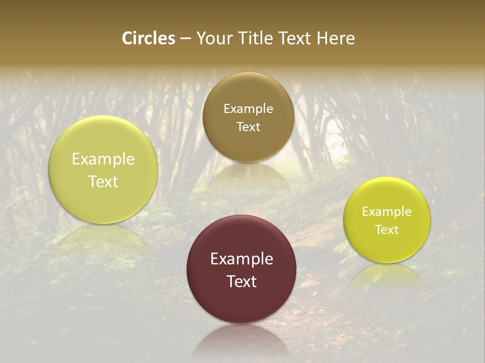 A Path Through A Forest With Lots Of Trees PowerPoint Template