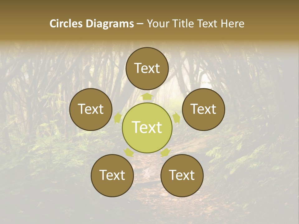 A Path Through A Forest With Lots Of Trees PowerPoint Template
