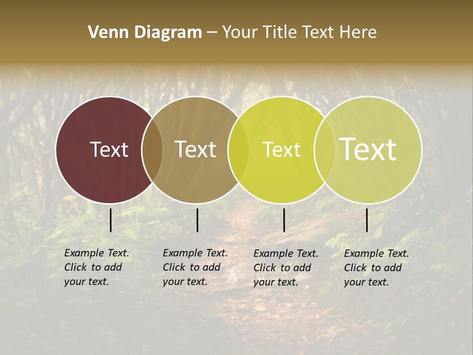 A Path Through A Forest With Lots Of Trees PowerPoint Template
