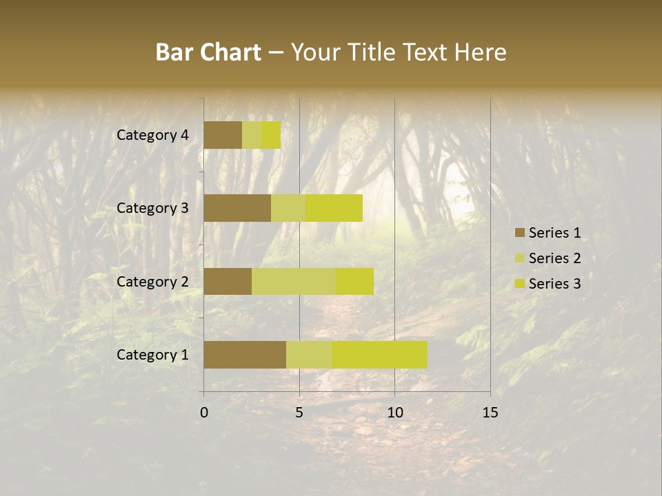 A Path Through A Forest With Lots Of Trees PowerPoint Template
