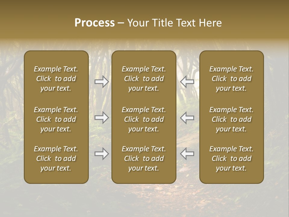 A Path Through A Forest With Lots Of Trees PowerPoint Template