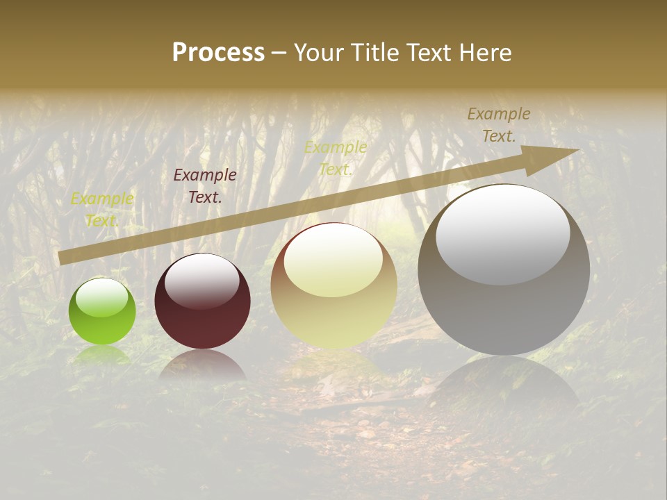 A Path Through A Forest With Lots Of Trees PowerPoint Template