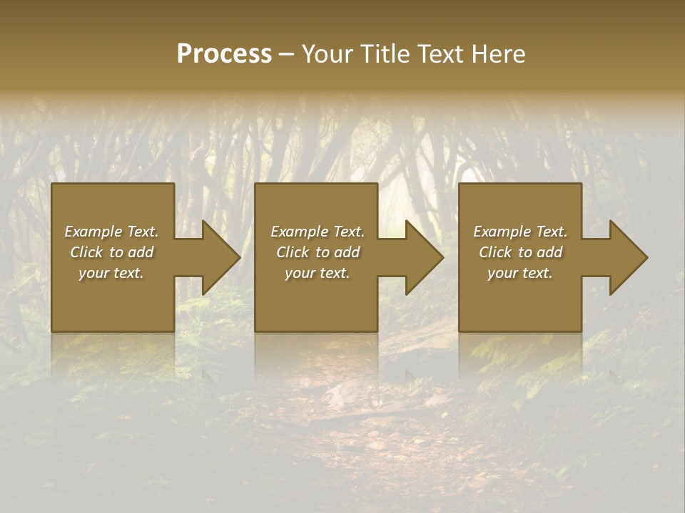 A Path Through A Forest With Lots Of Trees PowerPoint Template