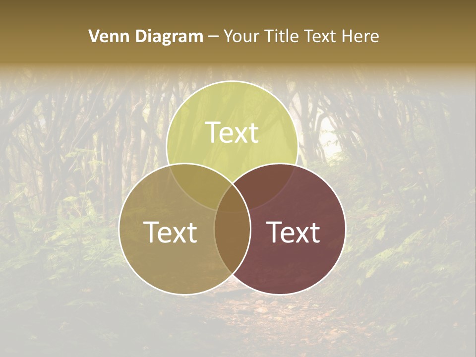 A Path Through A Forest With Lots Of Trees PowerPoint Template