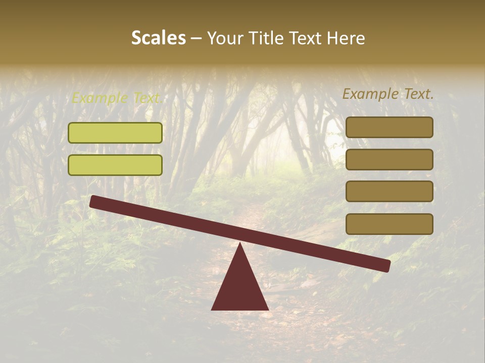A Path Through A Forest With Lots Of Trees PowerPoint Template