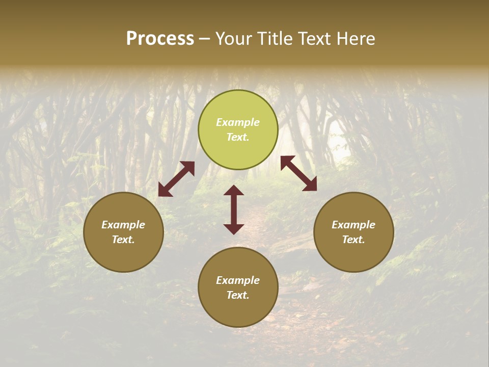 A Path Through A Forest With Lots Of Trees PowerPoint Template