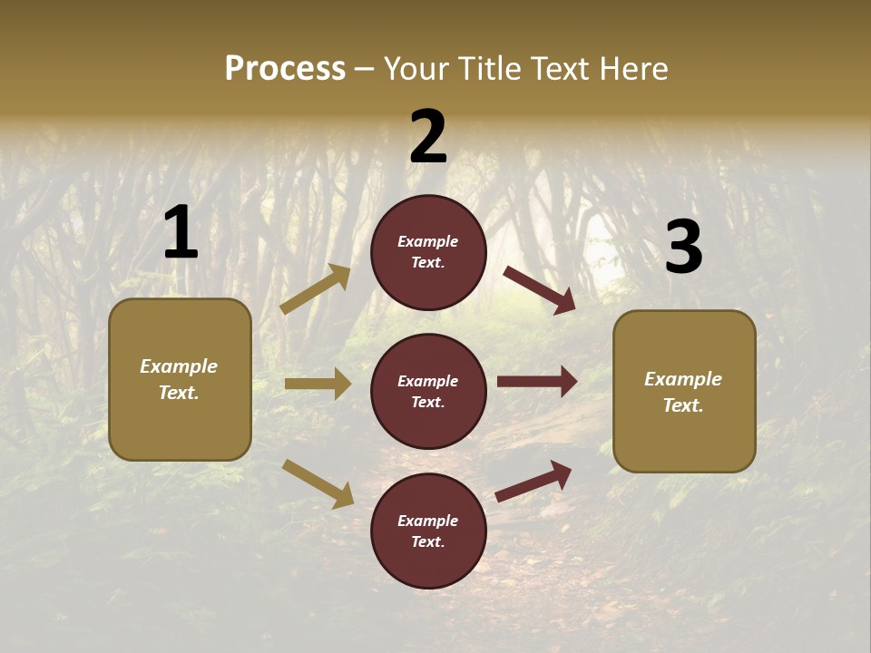 A Path Through A Forest With Lots Of Trees PowerPoint Template