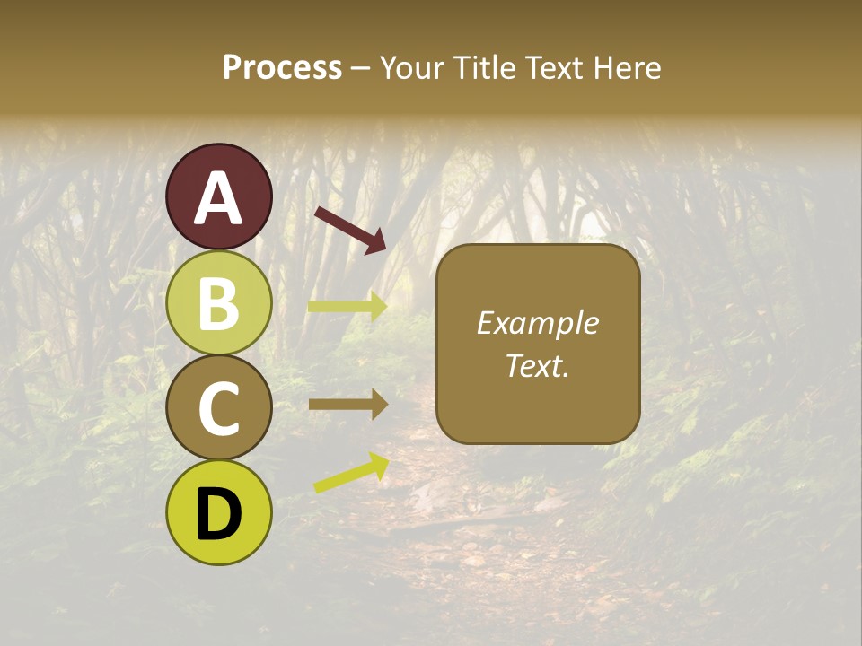 A Path Through A Forest With Lots Of Trees PowerPoint Template