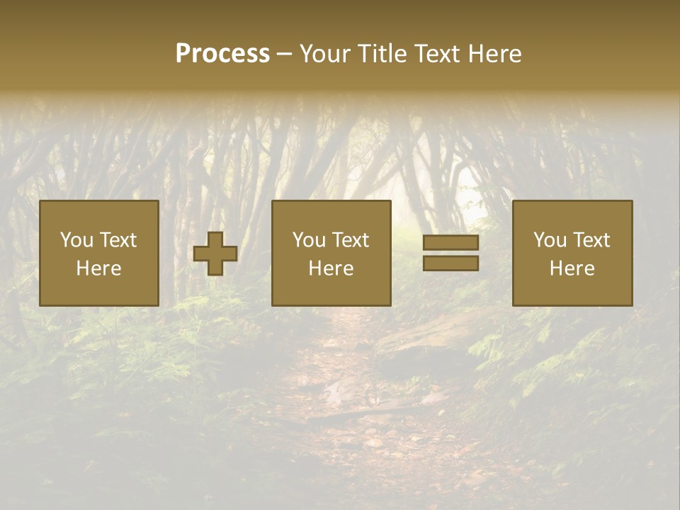 A Path Through A Forest With Lots Of Trees PowerPoint Template