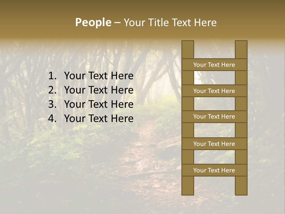 A Path Through A Forest With Lots Of Trees PowerPoint Template
