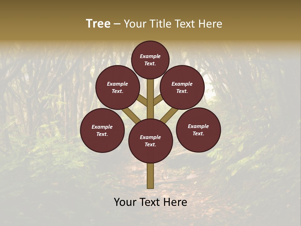 A Path Through A Forest With Lots Of Trees PowerPoint Template