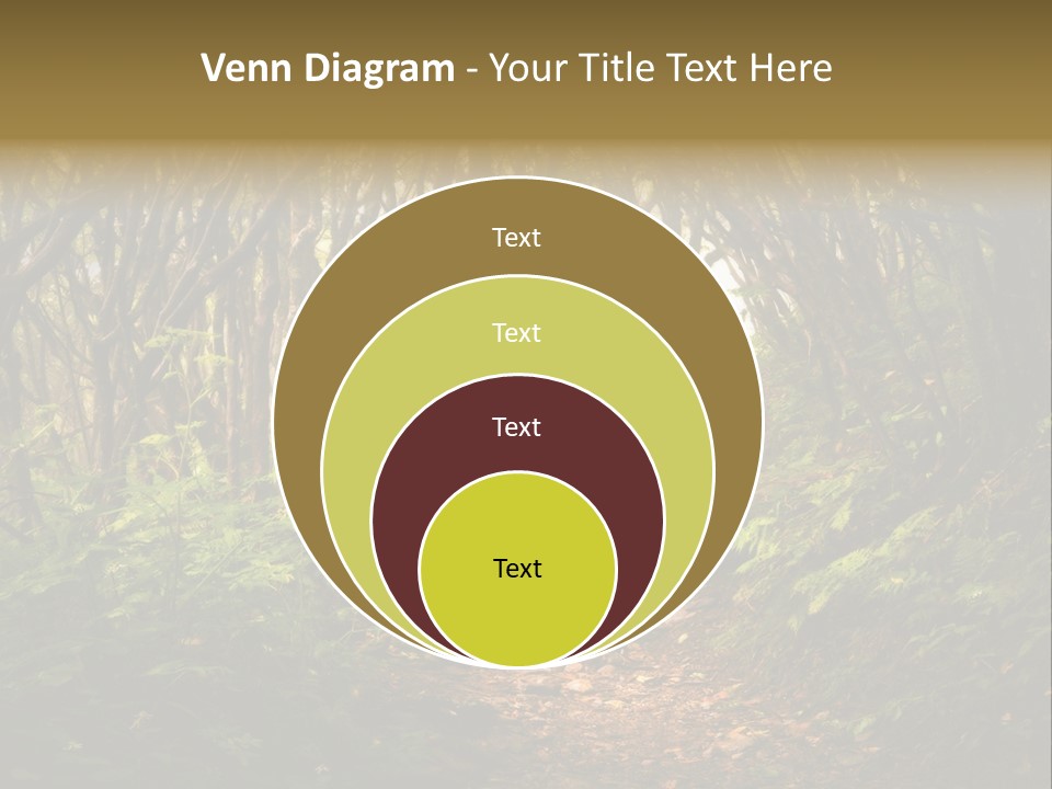 A Path Through A Forest With Lots Of Trees PowerPoint Template