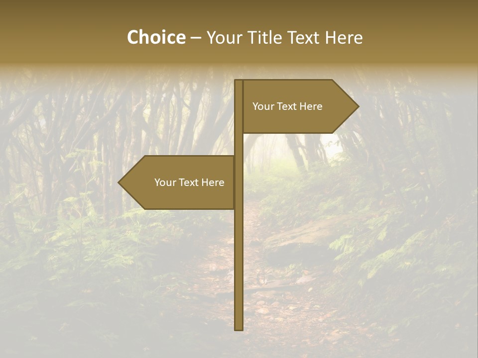 A Path Through A Forest With Lots Of Trees PowerPoint Template