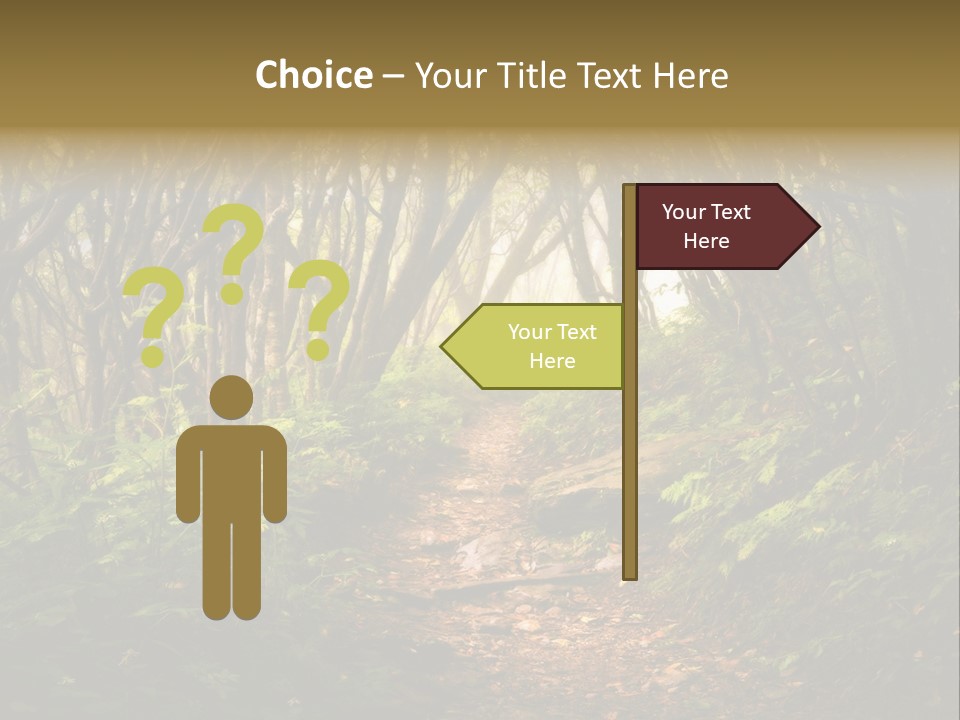 A Path Through A Forest With Lots Of Trees PowerPoint Template
