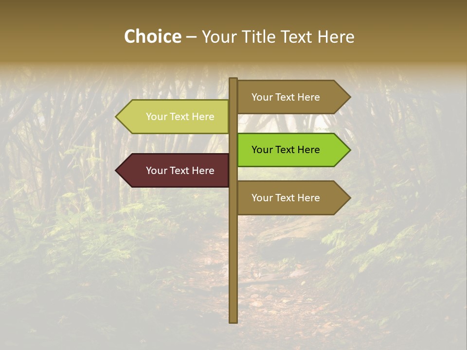 A Path Through A Forest With Lots Of Trees PowerPoint Template