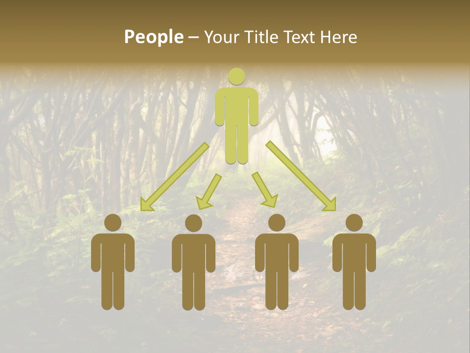 A Path Through A Forest With Lots Of Trees PowerPoint Template