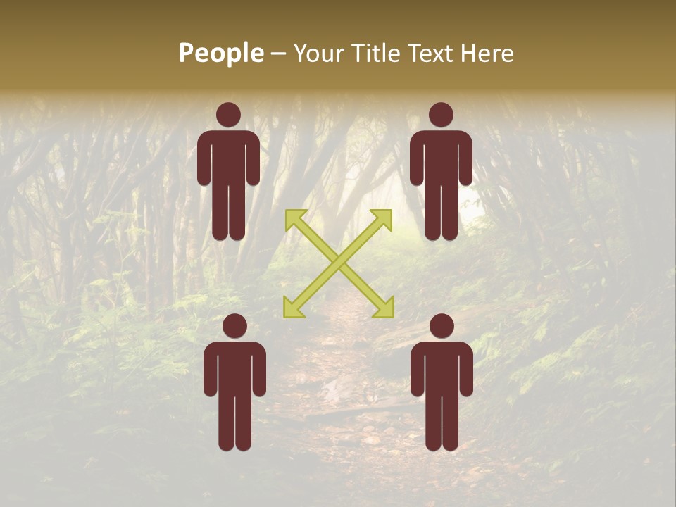 A Path Through A Forest With Lots Of Trees PowerPoint Template