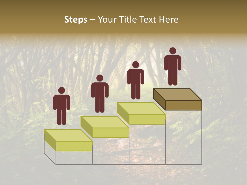 A Path Through A Forest With Lots Of Trees PowerPoint Template