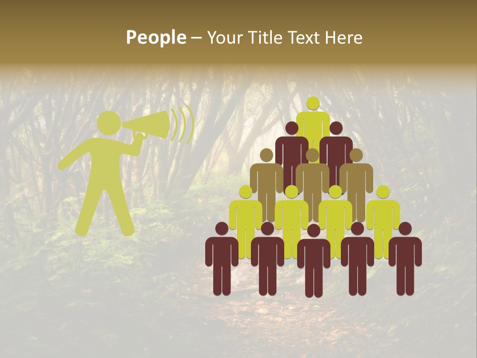 A Path Through A Forest With Lots Of Trees PowerPoint Template