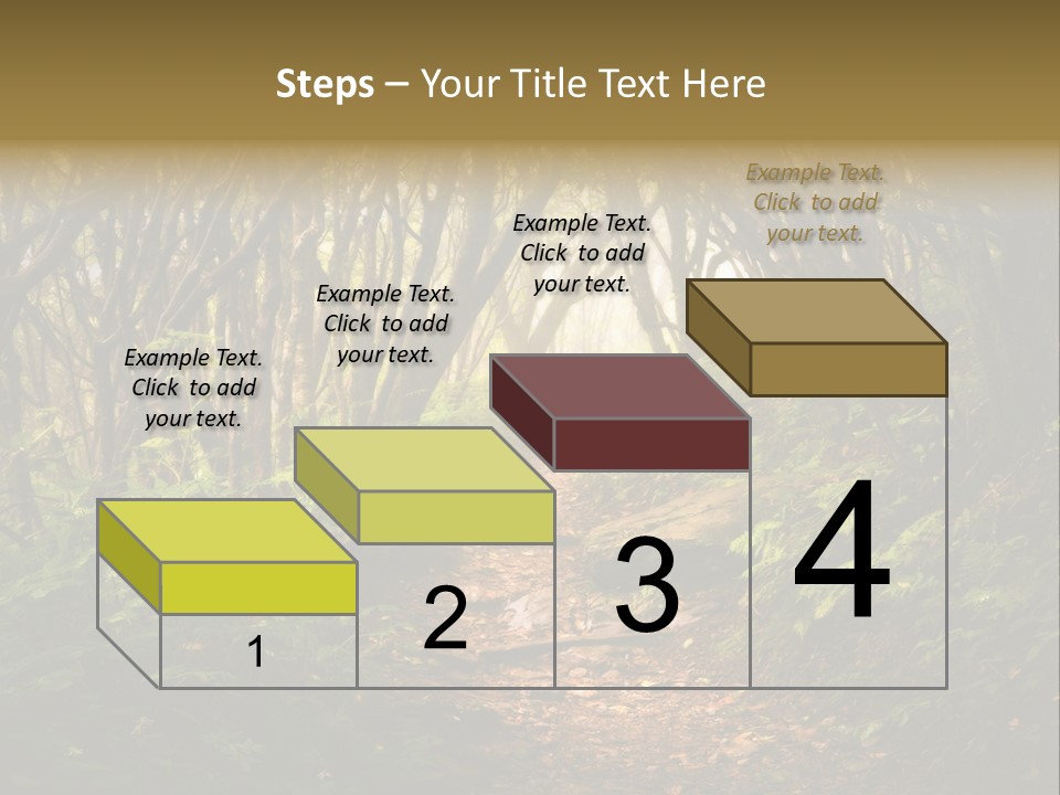 A Path Through A Forest With Lots Of Trees PowerPoint Template