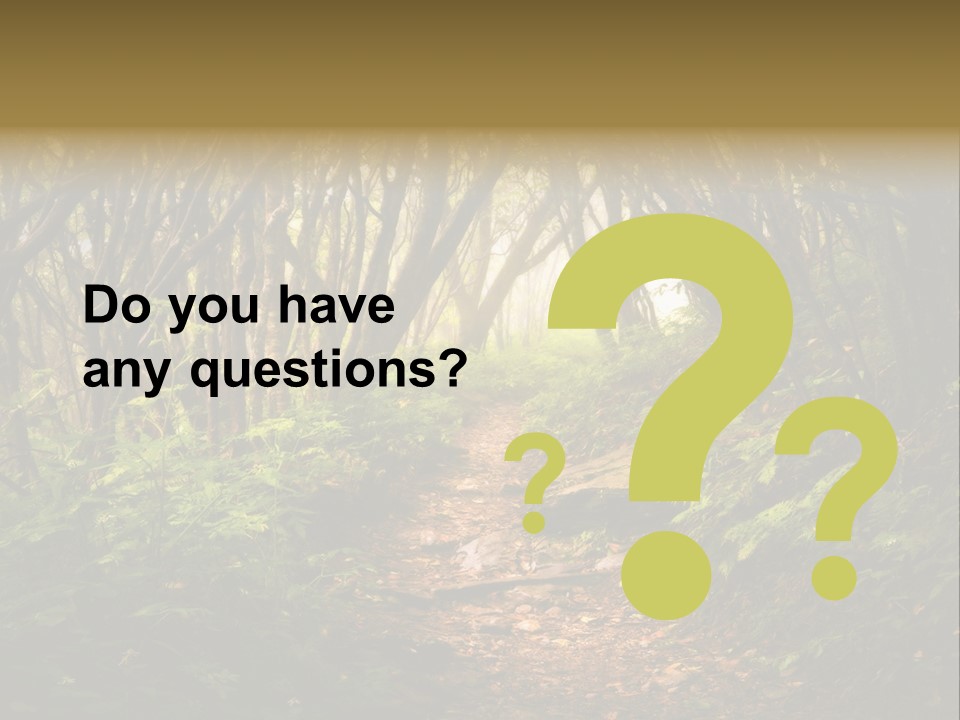 A Path Through A Forest With Lots Of Trees PowerPoint Template