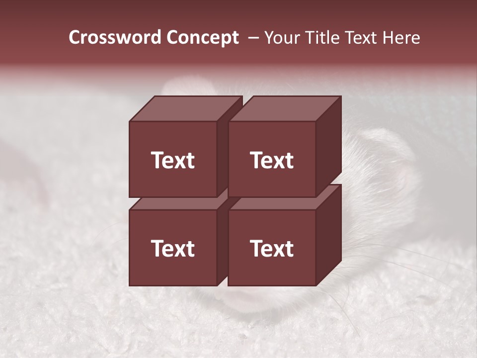 A Ferret Peeking Out From Under A Blanket PowerPoint Template