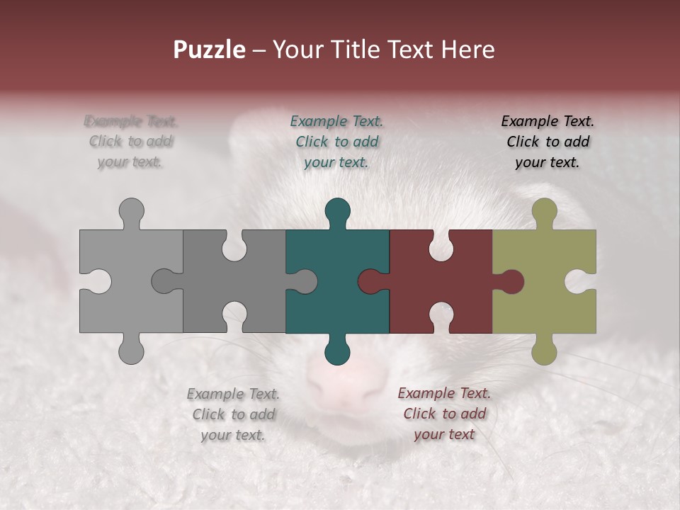 A Ferret Peeking Out From Under A Blanket PowerPoint Template