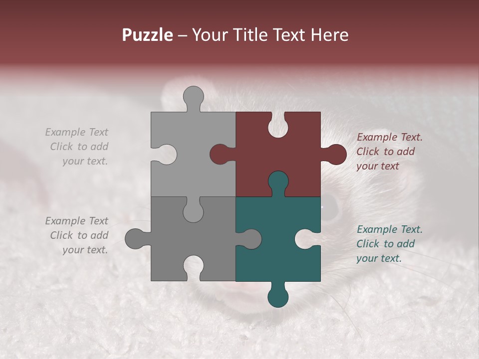 A Ferret Peeking Out From Under A Blanket PowerPoint Template