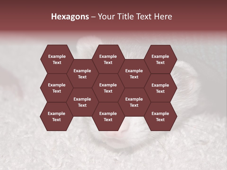 A Ferret Peeking Out From Under A Blanket PowerPoint Template