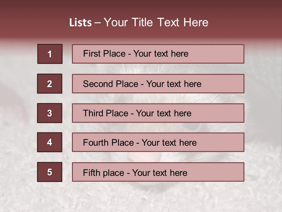 A Ferret Peeking Out From Under A Blanket PowerPoint Template